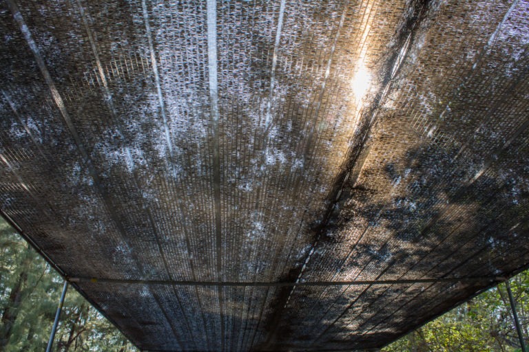 Close,Up,Black,Shading,Net,Pattern,Texture,And,Background.weaved,Plastic