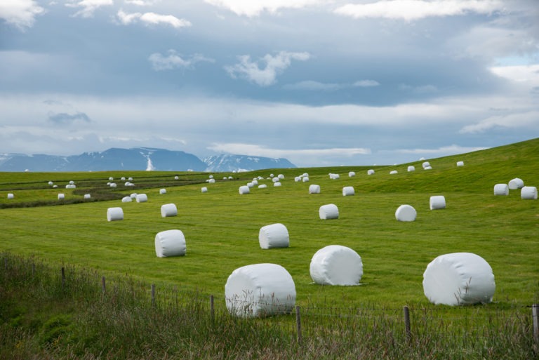 Silage,On,A,Meadow,In,Iceland